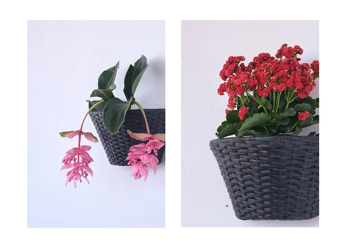 Casa Yare, Shared Pool, Air-con, Fast Wifi בית נופש *